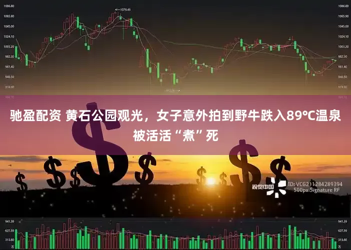 驰盈配资 黄石公园观光，女子意外拍到野牛跌入89℃温泉被活活“煮”死